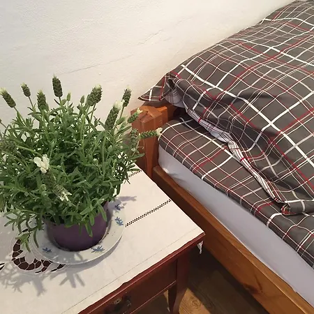 Tolminka Apartamento *